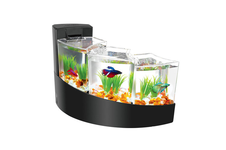 The Best Fish Tanks for Your Home or Office Wayfair